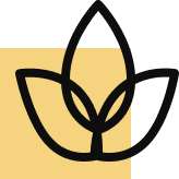 Área Verde